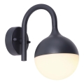 Globo - LED Zunanja stenska svetilka 1xLED/10W/230V IP44