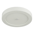 Globo - LED Zunanja stropna svetilka s senzorjem LED/18W/230V IP44
