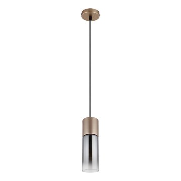Globo - Lestenec na vrvici 1xE27/25W/230V bron pr. 10 cm