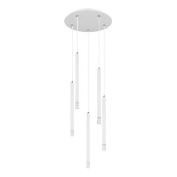 Globo - Lestenec na vrvici 5xG9/4W/230V pr. 34 cm