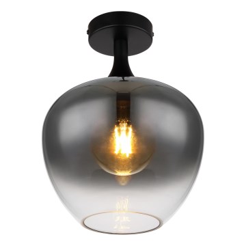 Globo - Stropna svetilka 1xE27/40W/230V dimna