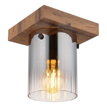 Globo - Stropna svetilka 1xE27/40W/230V