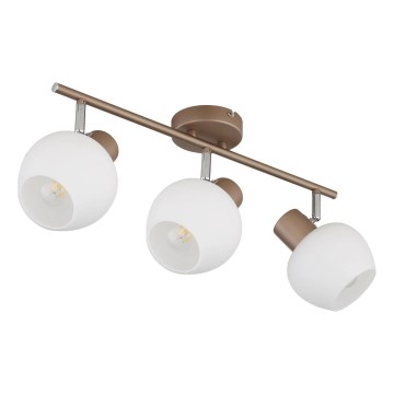 Globo - Točkovno svetilo 3xE27/40W/230V
