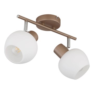 Globo - Usmerjeno svetilo 2xE27/40W/230V