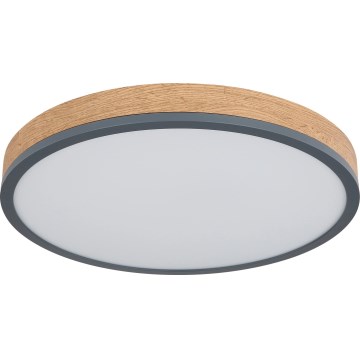 Globo - zatemnljiva LED stropna svetilka, 24 W, 230 V, 3000–6500 K, Ø 45 cm