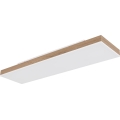 Globo - Zatemnljivo LED stropno svetilo LED/24W/230V 2700-6500K 20x80 cm + daljinski upravljalnik