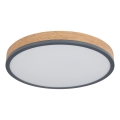 Globo - zatemnljivo LED stropno svetilo LED/24W/230V 2700-6500K premer 45 cm
