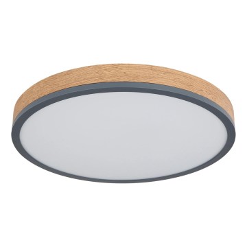 Globo - zatemnljivo LED stropno svetilo LED/24W/230V 2700-6500K premer 45 cm