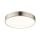 Globo - Zatemnljivo LED stropno svetilo LED/28W/230V