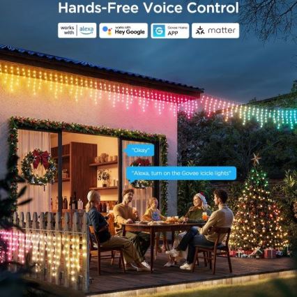 Govee - LED RGBIC Zunanja veriga Pametni žled 10m Wi-Fi Matter IP65