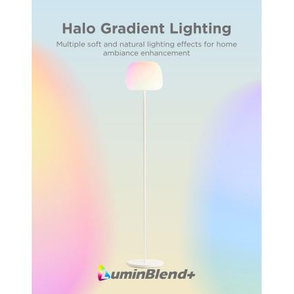 Govee - LED RGBICWW Stoječa svetilka z zatemnitvijo LANTERN MATTER LED/24W/230V Wi-Fi 160 cm