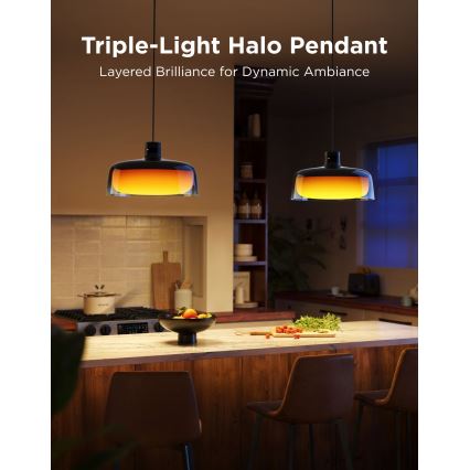 Govee - LED RGBICWW Zatemljiv viseči lestenec na kablu LED/21W/230V Matter Wi-Fi