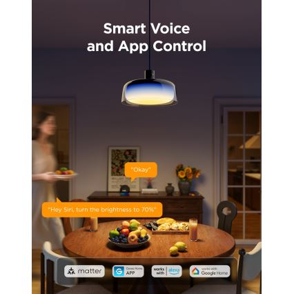 Govee - LED RGBICWW Zatemljiv viseči lestenec na kablu LED/21W/230V Matter Wi-Fi