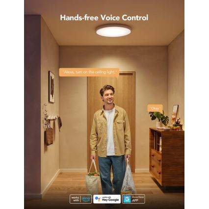 Govee - LED RGBICWW zatemnjevalna stropna svetilka LED/29W/230V premer 30 cm mat Wi-Fi