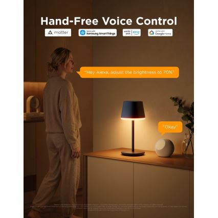 Govee - LED RGBICWW Zatemnjevalna namizna svetilka CLASSIC MATTER LED/10W/5V 4800mAh Wi-Fi