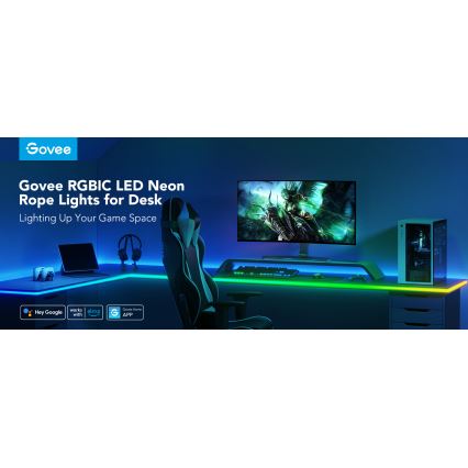 Govee - Neonska LED osvetlitev mize 3m RGBIC Wi-Fi
