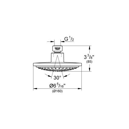 GROHE 28233000 - Tušna glava EUPHORIA COSMOPOLITAN 160, sijajni krom