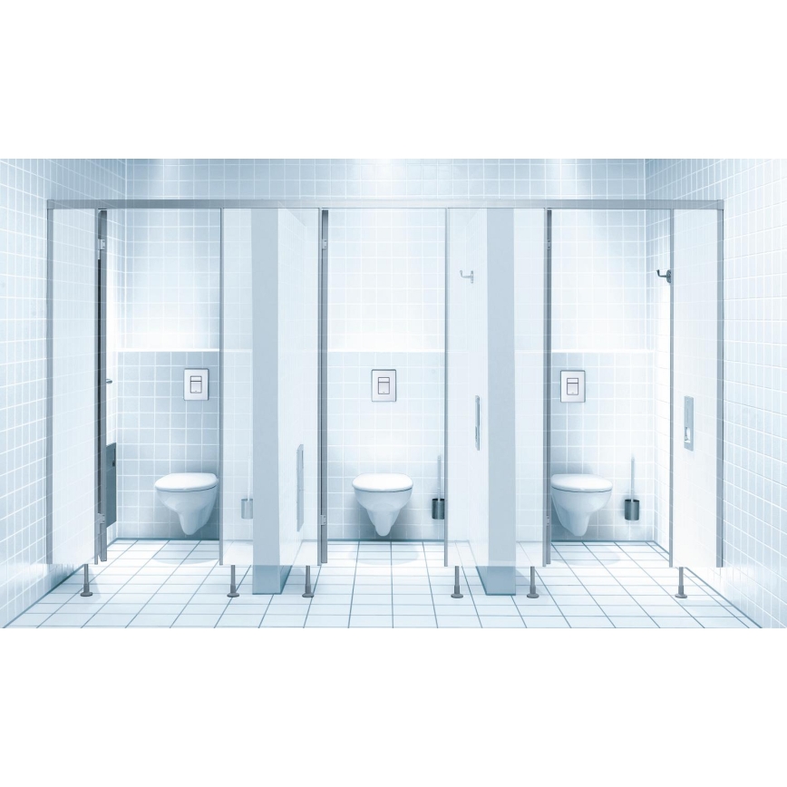 GROHE 38732SD0 - Tipka za splakovanje SKATE COSMOPOLITAN 156 × 197 mm nerjaveče jeklo