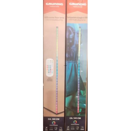 Grundig - LED RGBW zatemnjiva stoječa svetilka LED/6W/230V + z daljinskim upravljalnikom