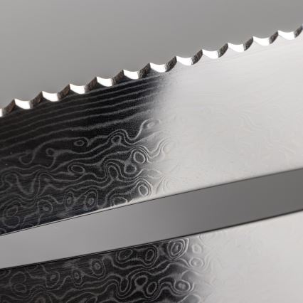 Gudaro-komplet 5x damastni kuhinjski nož TAKUMI + stojalo za nože in škarje za perutnino