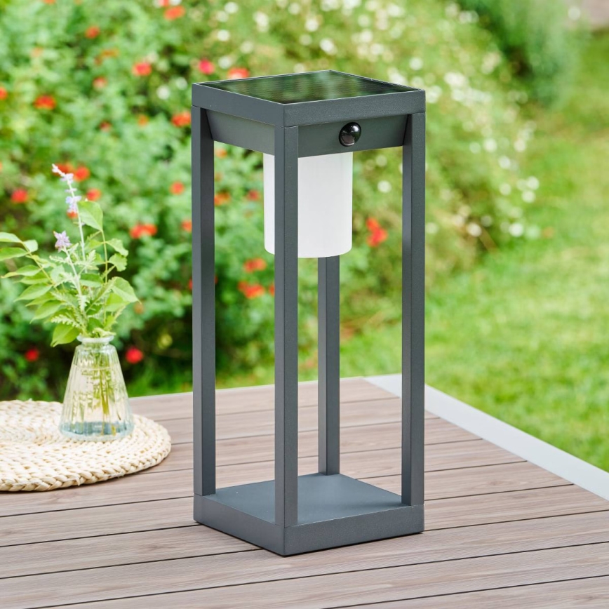 Hesperide - LED sončna svetilka s senzorjem gibanja PIKY LED/3,7V 2600 mAh 40 cm IP65 antracit