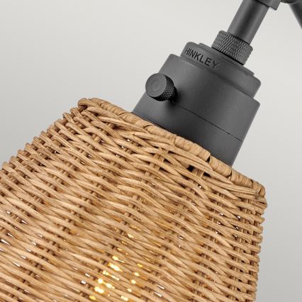 Hinkley - Stenska točkovna svetilka ARTI 1xE27/60W/230V črna/rjava