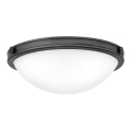 Hinkley - Stropna svetilka COLLIER 2xE27/40W/230V premer 34,6 cm črna