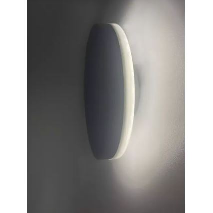 HÖFFTECH - LED zunanja stenska svetilka LED/10W/230V okrogla IP65