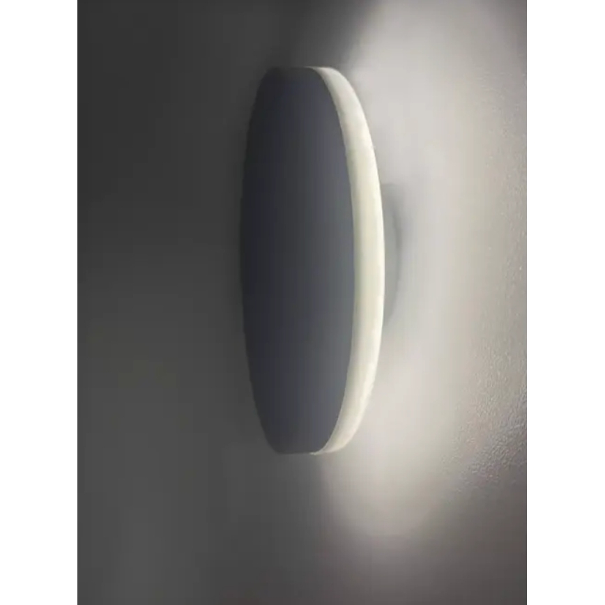 HÖFFTECH - LED zunanja stenska svetilka LED/10W/230V okrogla IP65