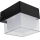 HÖFFTECH - LED zunanja stenska svetilka LED/4W/230V IP65