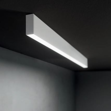 Ideal Lux - LED lestenec na kablu LINUS LED/32W/230V 4000K CRI 90 120 cm bela