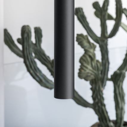 Ideal Lux - LED lestenec na vrvici LOOK 1xGU10/7W/230V CRI 90 Ø 6 cm črna