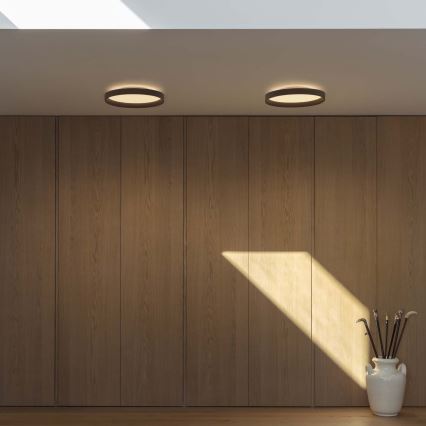 Ideal Lux - LED Stropna svetilka FLY LED/26W/230V 2700K pr. 45 cm CRI 90 IP40 črna