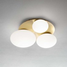 Ideal Lux - LED Stropna svetilka NINFEA 3xLED/9W/230V zlata