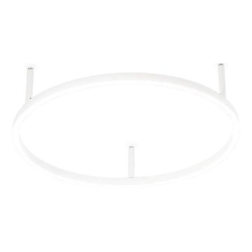 Ideal Lux - LED stropna svetilka ORACLE SLIM LED/29W/230V 2700K CRI 90 premer 50 cm bela