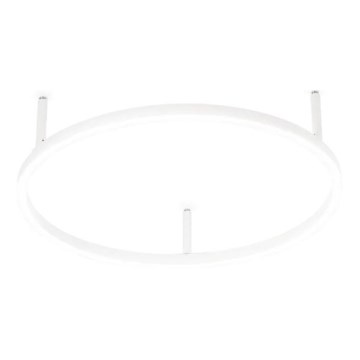 Ideal Lux - LED stropna svetilka ORACLE SLIM LED/29W/230V 4000K CRI 90, premer 50 cm, bela