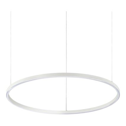 Ideal Lux - Viseči LED lestenec na jekleni vrvici ORACLE SLIM LED/37W/230V 3000K CRI 90, premer 70 cm, bel