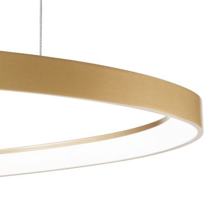 Ideal Lux - LED Zatemnitveni lestenec na vrvici GEMINI LED/48W/230V pr. 61 cm CRI 90 zlata