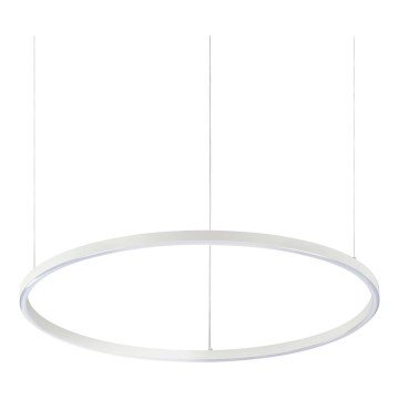 Ideal Lux - Viseči LED lestenec na jekleni vrvici ORACLE SLIM LED/37W/230V 3000K CRI 90, premer 70 cm, bel