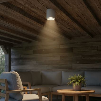 Ideal Lux - Zunanja reflektorska svetilka GUN 1xGU10/28W/230V IP55 siva