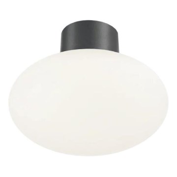 Ideal Lux - Zunanja stropna svetilka CLIO 1xE27/42W/230V IP44 antracit