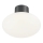 Ideal Lux - Zunanja stropna svetilka CLIO 1xE27/42W/230V IP44 antracit