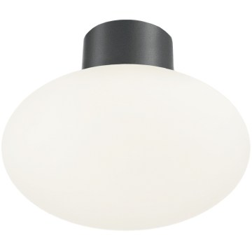 Ideal Lux - Zunanja stropna svetilka CLIO 1xE27/42W/230V IP44 antracit