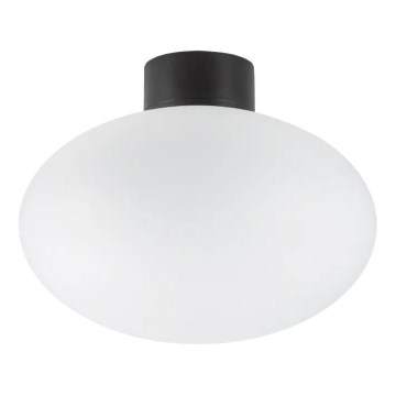 Ideal Lux - Zunanja stropna svetilka CLIO 1xE27/42W/230V IP44 črna