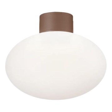Ideal Lux - Zunanja stropna svetilka CLIO 1xE27/42W/230V IP44 rjava
