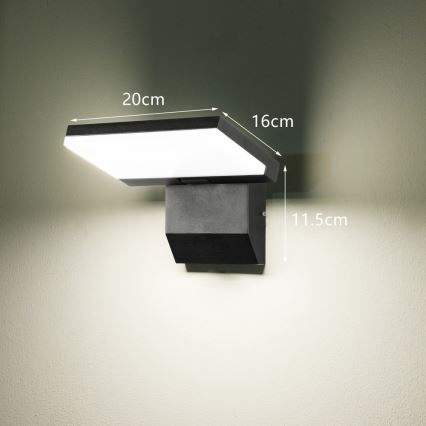 LED zunanja stenska svetilka MODERN LED/18W/230V IP65