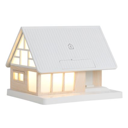 LED namizna svetilka z brezžičnim polnjenjem DREAM HOME LED/2W/230V