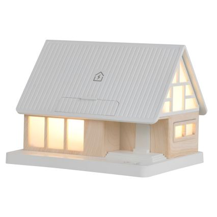 LED namizna svetilka z brezžičnim polnjenjem DREAM HOME LED/2W/230V
