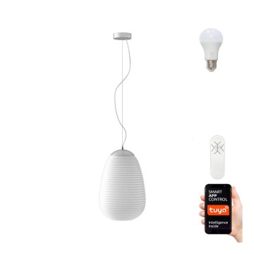 Immax NEO 07066L - LED RGBW Zatemnitveni lestenec COCONO 1xE27/8,5W/100-240V 24 cm