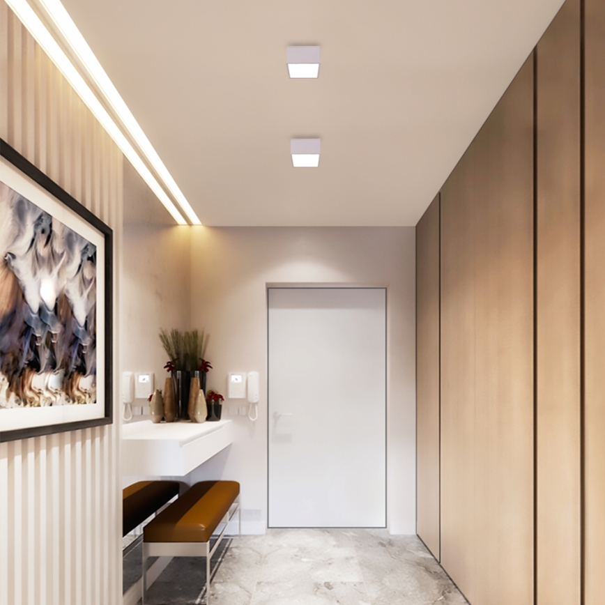 Immax NEO 07072L-15 - LED Zatemnitvena svetilka CANTO LED/12W/230V bela Tuya